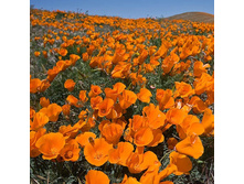 ��������� � ����. ���. ����2.jpg