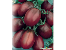 ����� ��-����� ������ 11 ���. (0,1 ��.).jpeg