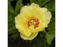 ������ ����+18�