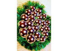 �������� "���������� ���"