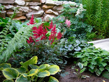 ������� ����� � �������� � ������.jpg