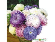 ����� ����� �����, ����� 10 ���. (0,3 ��.).jpeg