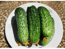 ������ �������� ���. ����2.png