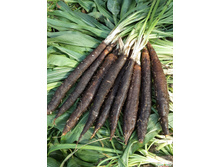 ��������� �������� 9,10 ���. (0,5 ��.).������ ��������