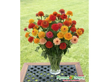 ������ ����� ����������. ����� 10 ���. (0,6 ��.).jpeg