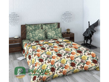 617-1 ��������.jpg