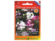 ���� ������ �������. 21 ���. (10 ��.) ����������