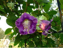 ����� ���������.jpg