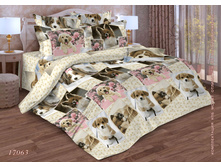 17063 ������ ������.jpg