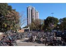 Image (3)���.jpg