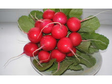 ����� ����� 9,10 ���. (2 ��.).jpg