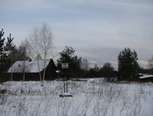 IMG 8192.jpg