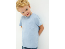 20120110089   Raccoon          .jpg