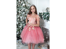 ���. ����