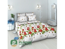 5664-1 �������� ����.jpg