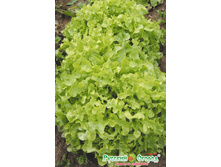 ����� �������� �������������� 11,9 ���. 0,1 ��..jpeg