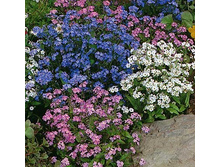 ��������� ���������� ����� 9,70 ���. (0,2 ��.).jpg