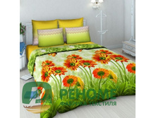 4200-1 �������.jpg