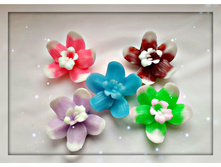 ������� ���������, 40 ���