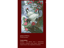 �-327 ������� ������ (��) 40�60 ���� 1763 ���.png