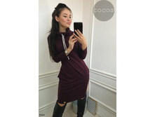 Plate-5269.  1388���