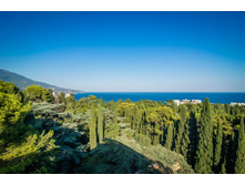 ��������� 4*