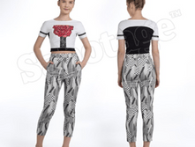 Image043 - �����.png