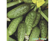 ������ �������� 9,40 ���. (1 ��.) �����. �����. ���� ����������.jpeg