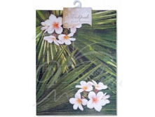 ������ ��� ������ ��������� 67x47�� ������, �������. ���, ���������� 68260 ������ 120,15.jpg