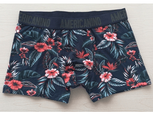 240 ��� AMER*CANINO