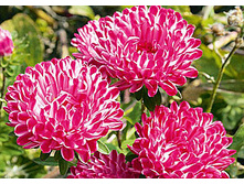 ����� ���������� 2.jpg