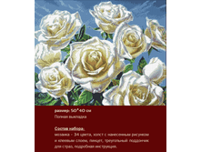 �-243 ����� ���� ������ (��) 50�40 ���� 1559 ���.png