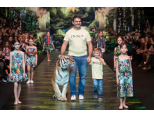 ���� ���������