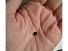 ������� ��� �������