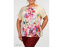 ������ 2704059-23.jpg