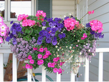 ���������� � ����������2.jpg