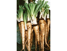 ������� ������ ��������� ������� 16,9 ���. (1 ��.).jpg