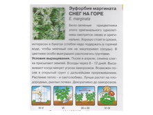 �������� ��������� ���� �� ���� ������.jpg