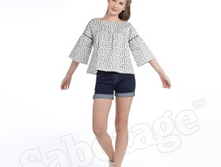 Image005 - �����.png