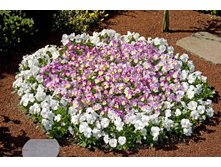 �����. ���������3.jpg