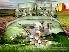 ����� ��������� ����.jpg