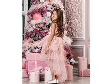 ���. ����