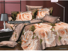 ������ 3354.jpg