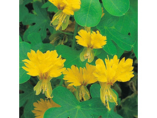 .��������� ��������� ��������� �����. ���. ����. ����� ������ �� ���������2.jpg