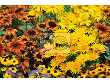 �������� ���� ���������� �����.jpg