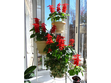 ������� ������ ��� ����� ���������� ����.jpg