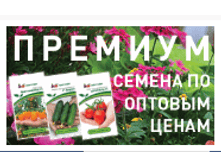 �������� 22-01-2018 112546.png