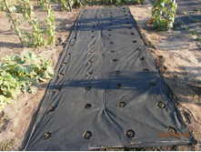 ������������� 2 �������� ��������� (������������ �������� ������ ��������� 60 ��� � �������� �����������). ������ 1,6 �� 5 �..jpg