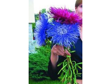 ����� ������� ������..jpg