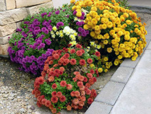 ���������� � ���� 6.jpg